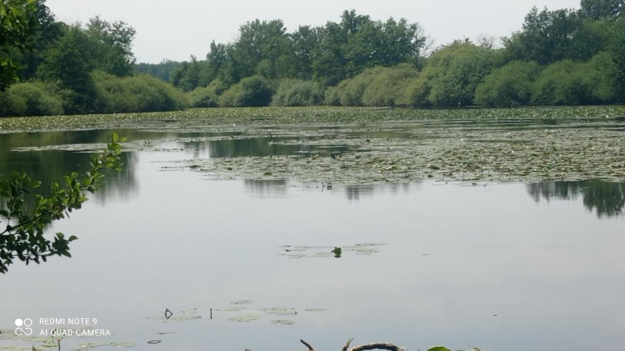Maison De Ferme Au Calme Jusqu'A 10 Personnes Gannay-sur-Loire エクステリア 写真