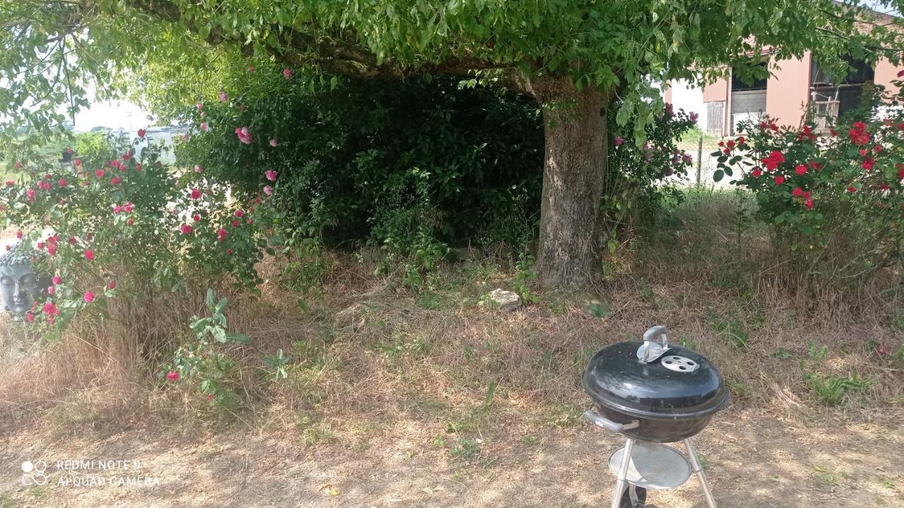 Maison De Ferme Au Calme Jusqu'A 10 Personnes Gannay-sur-Loire エクステリア 写真